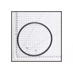 POOL PUMP LID O RING AQUAMAX