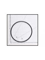 POOL PUMP LID O RING AQUAMAX