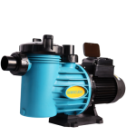 POOL PUMP AND MOTOR BARACUDA TITAN2 ECO VS