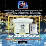 POOL CHLORINE WATERWELL PROFESSIONAL 458 10KG (FREE WATER CLARIFIER INCLUDED) - Image 2