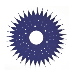 POOL CLEANER SC SWEEPER GENERIC DISC/SKIRT ROYAL BLUE - Image 2