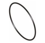 POOL PUMP SPECK PORPOISE O RING FOR BODY