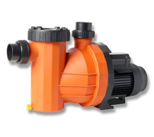 Speck Pool Pumps South Africa - Pool Mecca