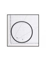 POOL FILTER LID AQUAMAX O RING (POPULAR)