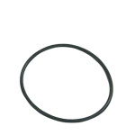 POOL PUMP LID O RING RAPID EARTHECO - Image 2